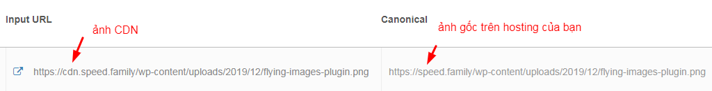 Có nên dùng CDN và Các tính năng tăng tốc độ website khác của plugin JetPack?